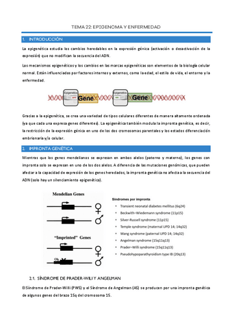 Tema-22-Epigenoma-y-enfermedad.pdf