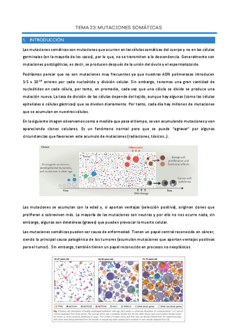 Tema-23-Mutaciones-somaticas.pdf