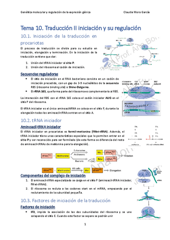 Tema-10.-Traduccion-II-iniciacion-y-su-regulacion.pdf