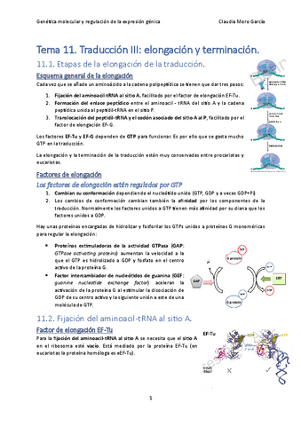 Tema-11.-Traduccion-III-elongacion-y-terminacion..pdf