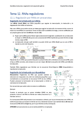Tema-12.-RNAs-reguladores.pdf