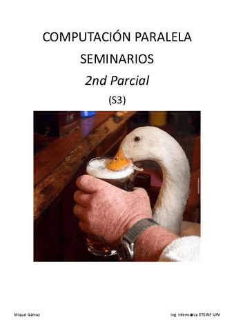CPA-Seminarios-2nd-Parcial.pdf