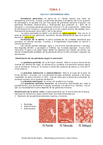 Tema-5.-Saliva.pdf