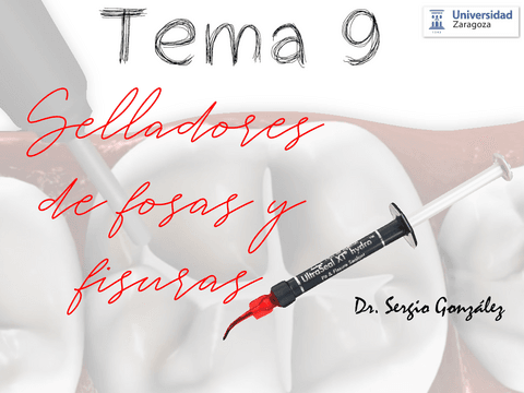 Tema-9.-selladores.pdf