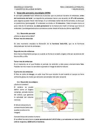 TEMA-1.pdf