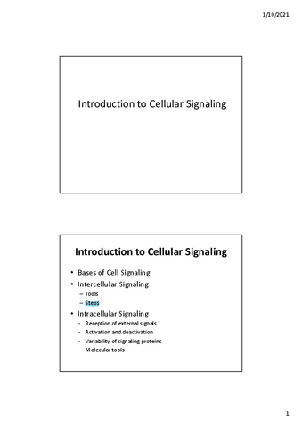 TEMA-1-Introduction.pdf