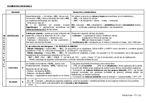 esquema-T3-fisio.pdf