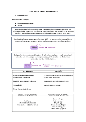 TEMA-16.pdf