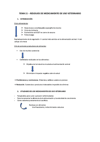 TEMA-11.pdf