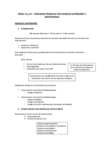 TEMA-13-y-14.pdf
