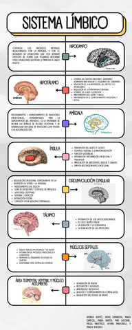 Act3.2-Infografia-sistema-limbico.pdf