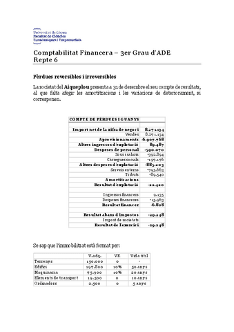 REPTE-6-Amortitzacions.pdf