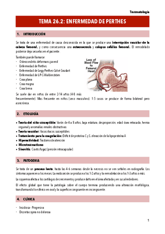 T26.2-ENFERMEDAD-DE-PERTHES.pdf
