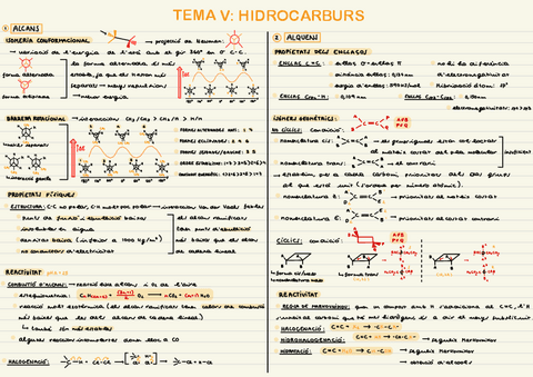 RESUM TEMA-5-HIDROCARBURS.pdf