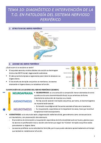 TEMA-10.pdf