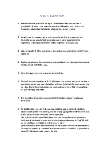 Examen-enero-2023.pdf