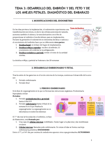 Tema-3-Desarrollo-del-embrion-y-del-feto-y-de-los-anejos-fetales ...