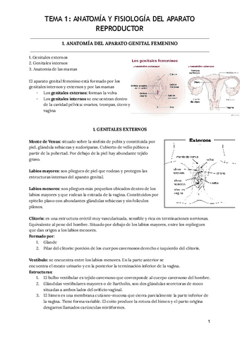 Tema-1-Anatomia-y-fisiologia-del-aparato-reproductor.pdf