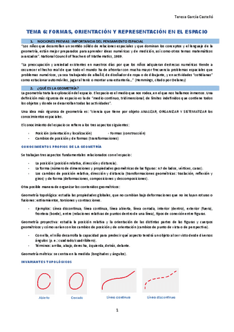 TEMA-6-DESARROLLO-DEL-PENSAMIENTO-MATEMATICO.pdf