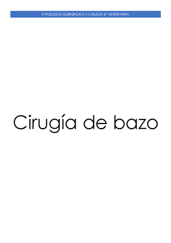 Cirugia-de-bazo.pdf