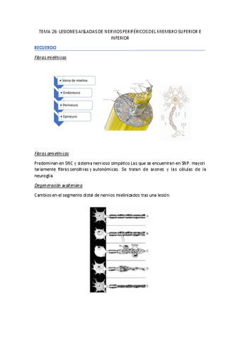 TEMA-26-FESC-II.pdf