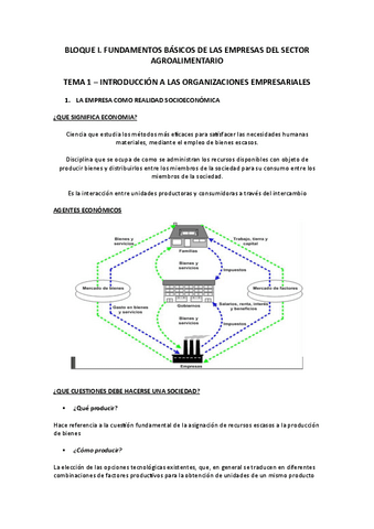 TEMA-1.pdf