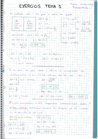Exercicis tema 1.pdf