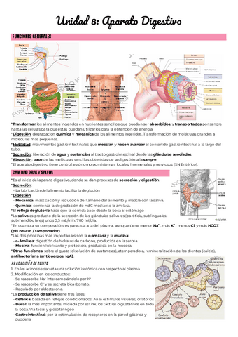Unidad-8-Aparato-Digestivo.pdf