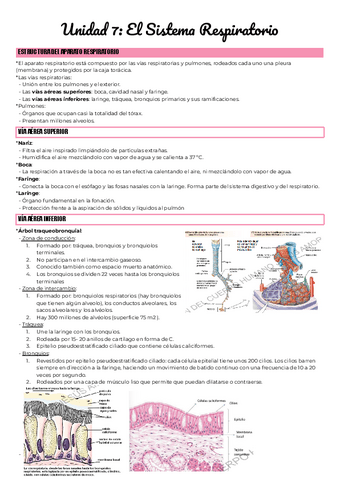 Unidad-7-El-Sistema-Respiratorio.pdf