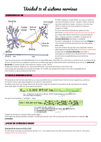 Unidad-3-el-sistema-nervioso.pdf