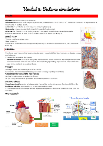Unidad-5-Sistema-circulatorio.pdf