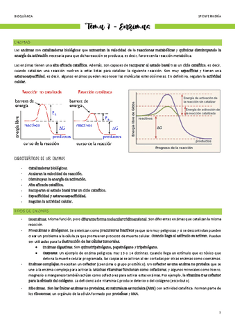 Tema-7-Enzimas.pdf