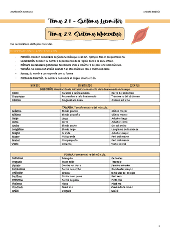 Tema-2.3-Sistema-Locomotor-Musculos.pdf