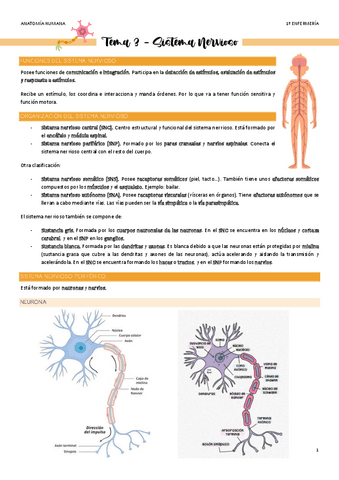 Tema-3-Sistema-Nervioso.pdf