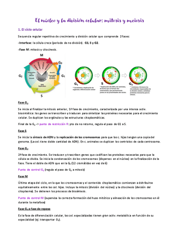 Tema-10.-El-nucleo-y-la-division-celular.pdf