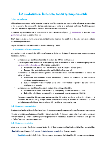 Tema-14.-Las-mutaciones.pdf
