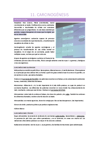 Temas-11-15-Patologia-quirurgica.pdf