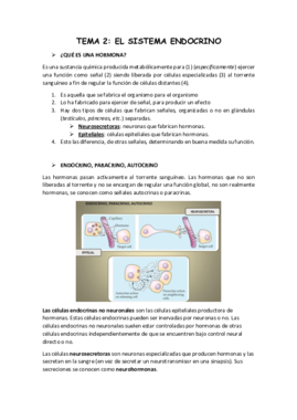Tema 2 Sistema endocrino Bueno.pdf