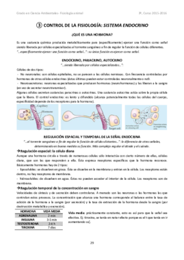 Tema 3 Sistema Endocrino Bueno.pdf