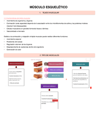 Musculo-Esqueletico.pdf