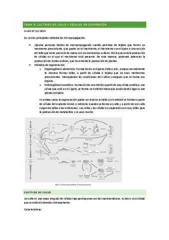 TEMA10CULTIVOS.pdf