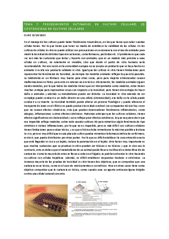 TEMA7CULTIVOS.pdf