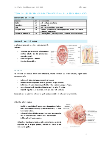 Tema-14.-Secrecions-gastrointestinals.pdf