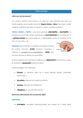 Tema-8.-Endocrinologia-y-Diabetes.pdf