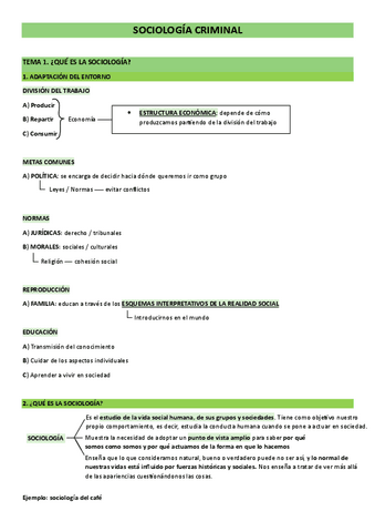sociologia-1o-temario-completo.pdf