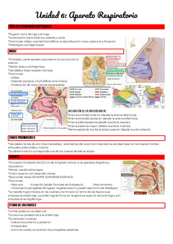 Unidad-6-Aparato-Respiratorio.pdf