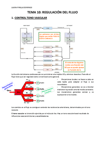 TEMA-10-fisiologia-9-bloque-2.pdf