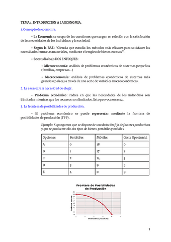 TEMA-1.-INTRODUCCION.pdf