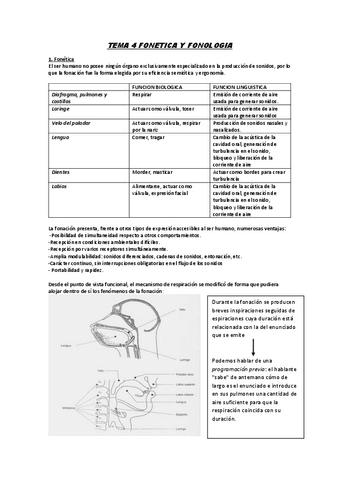 TEMA-4-FONETICA-Y-FONOLOGIA.pdf
