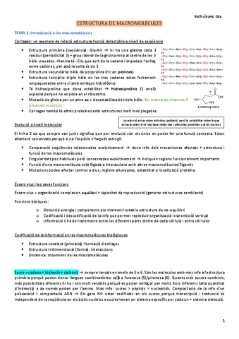 Resum-Macro-part-1.pdf